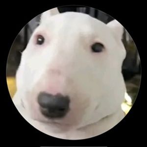 Meet your Posher, Sophie